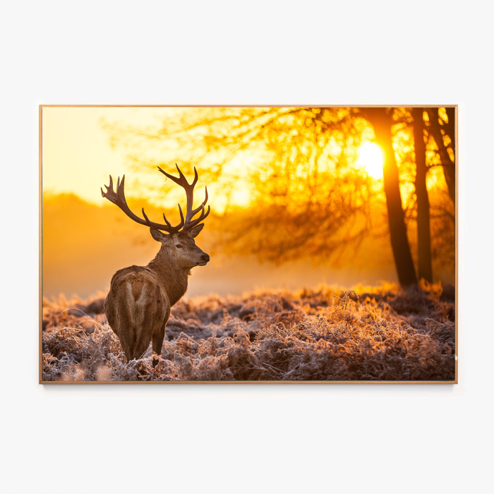 houten frame voor peesdoek