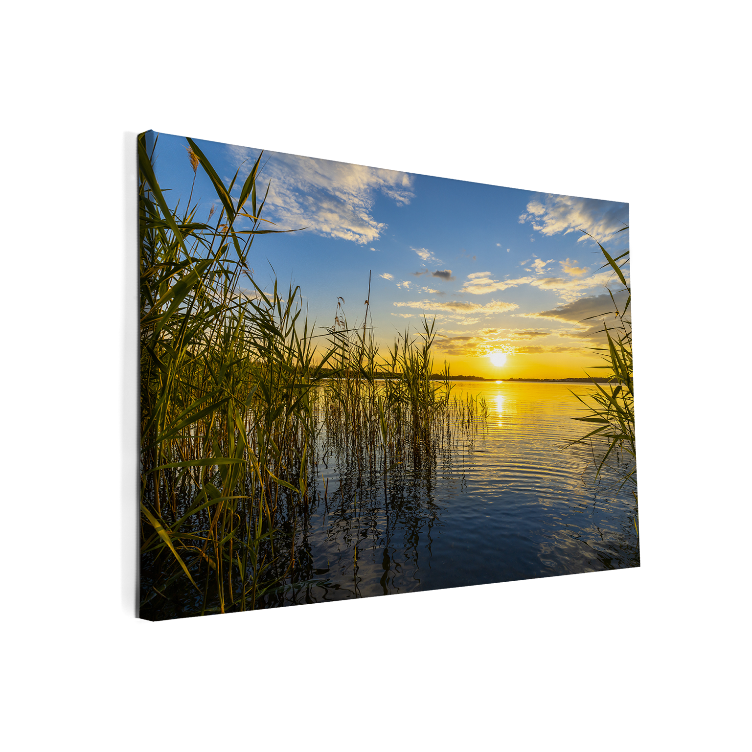 kanvas in baklijst kanvas in baklijst